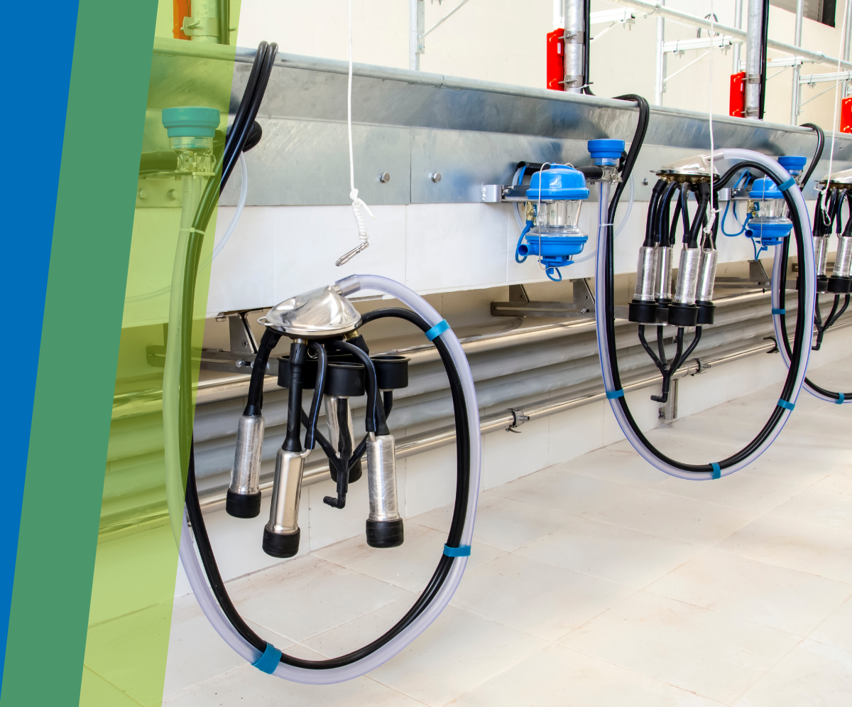 SAMMELSTÜCK-OBERTEILE