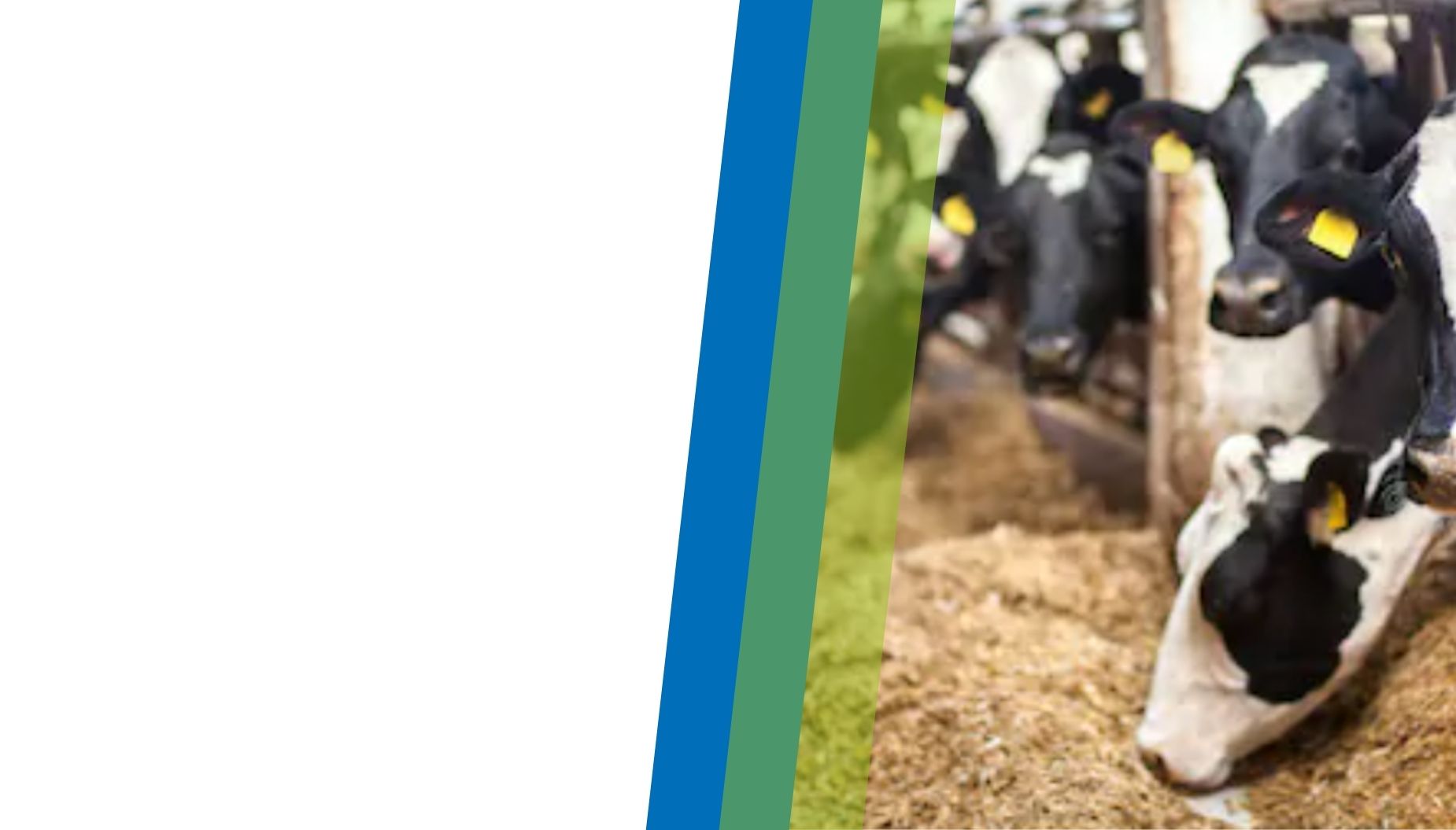 MELKEN - <br>IHRE LEIDENSCHAFT